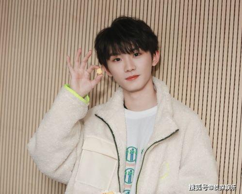 照片马嘉祺,青春偶像的蜕变之路 第2张 照片马嘉祺,青春偶像的蜕变之路 第2张