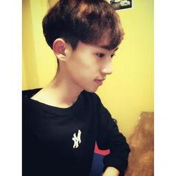 狮子座的男明星.,揭秘狮子座男明星的独特风采 第2张 狮子座的男明星.,揭秘狮子座男明星的独特风采 第2张