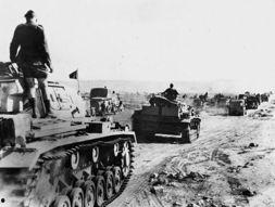 法西斯的资料,历史回顾与反思