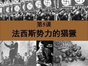 法西斯的资料,历史回顾与反思 第2张 法西斯的资料,历史回顾与反思 第2张