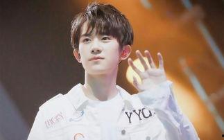 楠 明星,闪耀星途,璀璨人生 第3张 楠 明星,闪耀星途,璀璨人生 第3张