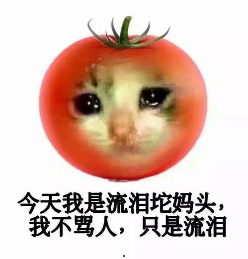 抱着西红柿哭表情包,揭秘“抱着西红柿哭”表情包背后的故事