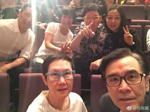 苏施黄资料,时尚界的璀璨明珠，演绎独特魅力  第3张